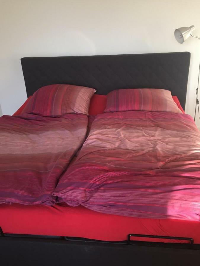 Appartement Elzerland マイエン エクステリア 写真